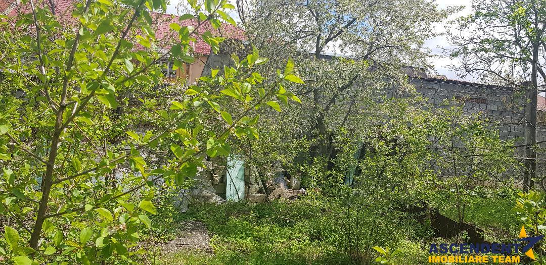 OFERTA REZERVATA!! Proprietate cu terasa si gradina de pomi infloriti, in Cartierul Florilor, Brasov