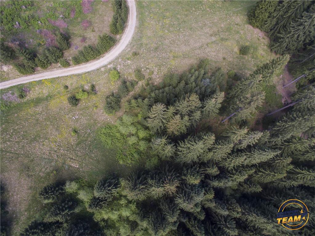OFERTA TRANZACTIONATA!!!VEZI Filmare cu drona!!  9.000 mp,in imbratisarea purei naturi,partial impadurit