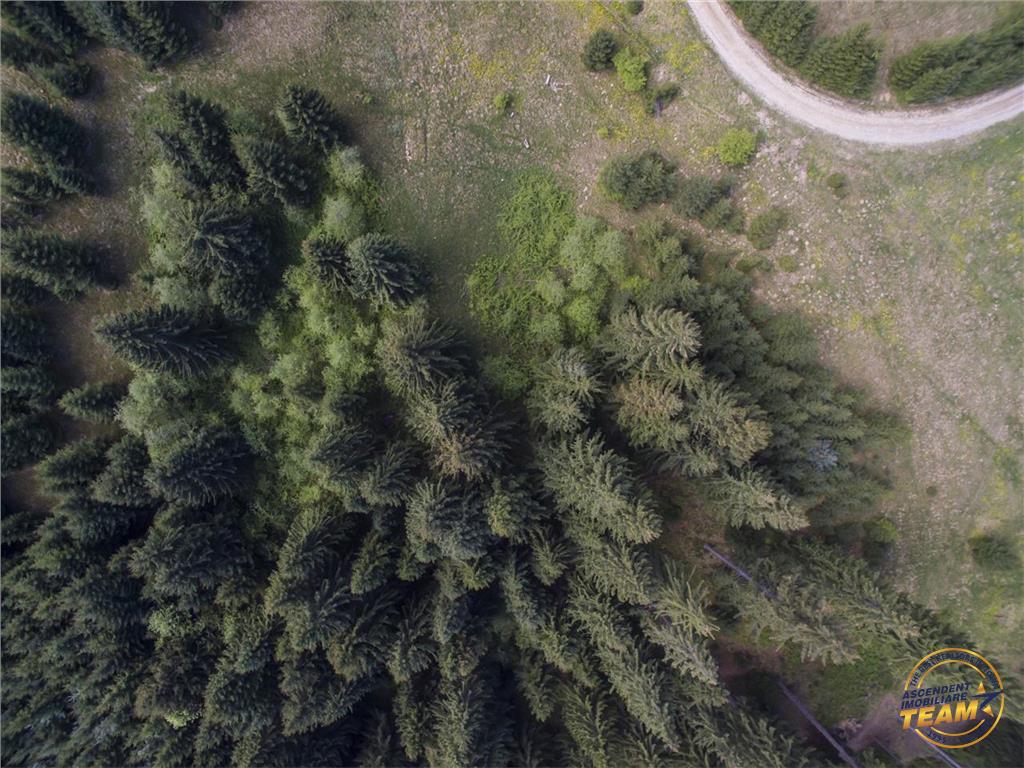 OFERTA TRANZACTIONATA!!!VEZI Filmare cu drona!!  9.000 mp,in imbratisarea purei naturi,partial impadurit