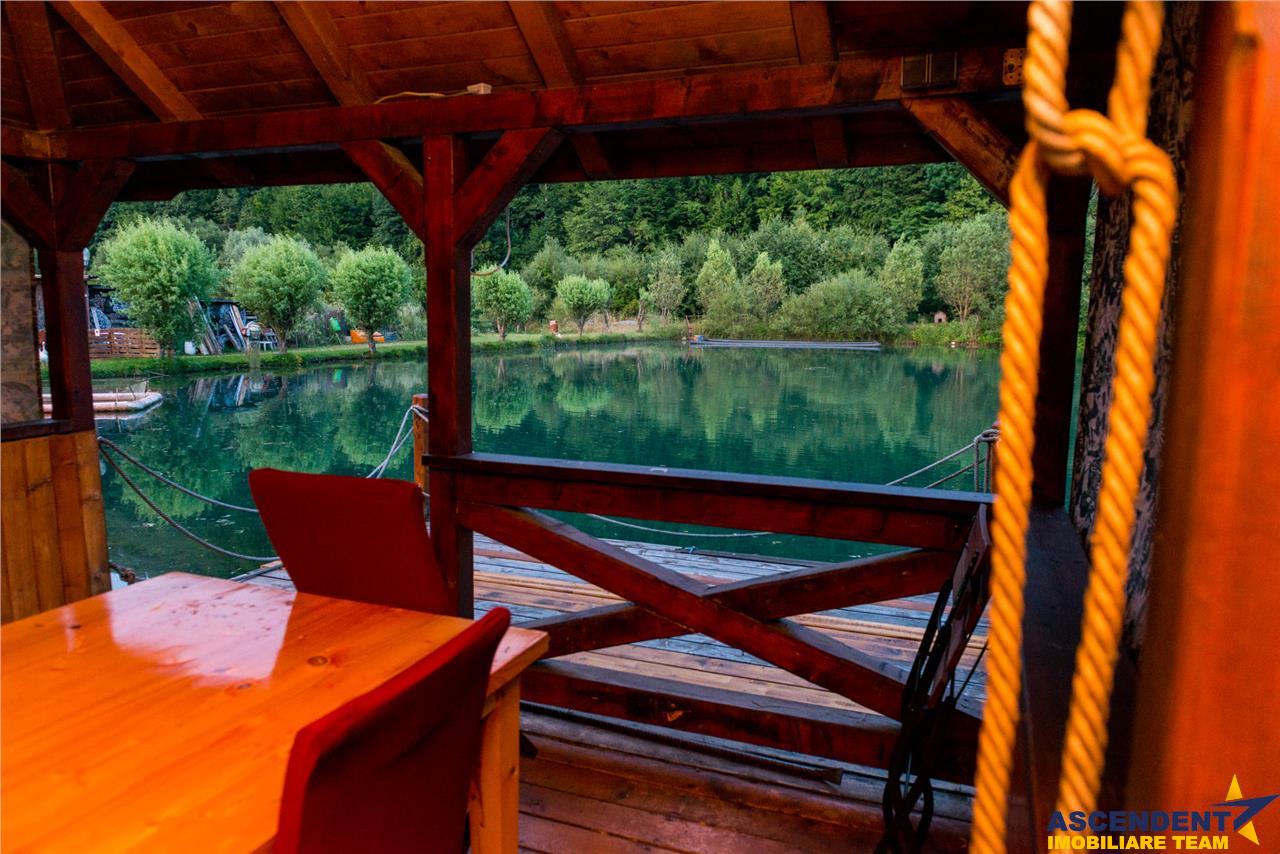 OFERTA TRANZACTIONATA!!! FILM+3D!In arcul Parcului Național Bucegi,lac propriu, domeniu pe 10.000 mp
