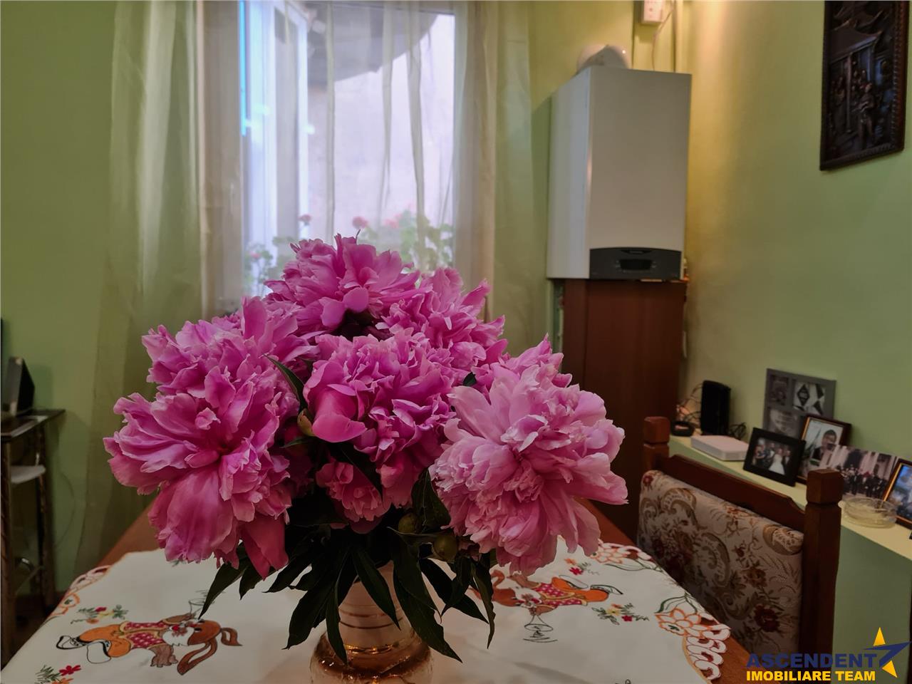 Proprietate pe incantare florala + bonus    spatiu comercial  Central, Brasov