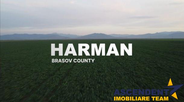 Harman, Brasov
