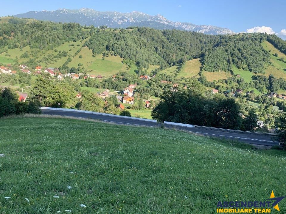 5.000 mp teren, front la strada principala, vedere panoramica, Moieciu, Brasov