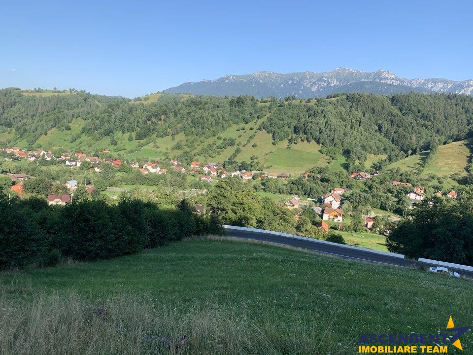 5.000 mp teren, front la strada principala, vedere panoramica, Moieciu, Brasov