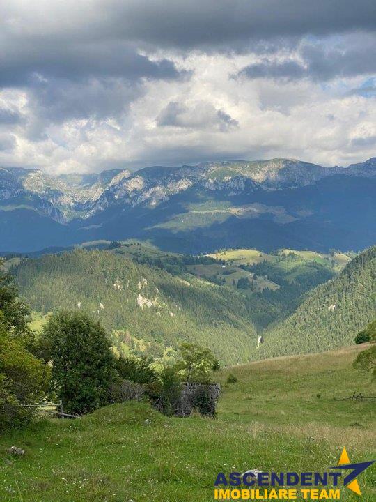 8.000 mp teren, Bran, Fundata, Brasov