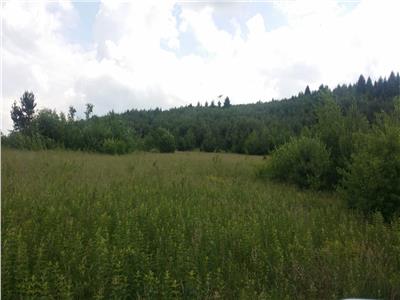 1.400 mp teren intravilan, in incantarea naturii, Sacele, Brasov
