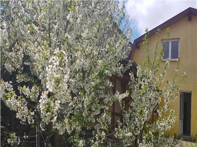 OFERTA REZERVATA!! Proprietate cu terasa si gradina de pomi infloriti, in Cartierul Florilor, Brasov