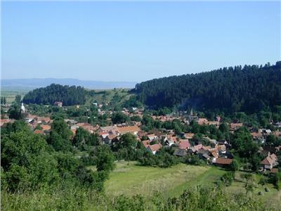 5.500 mp teren, cu izvor, Teliu ,Brasov