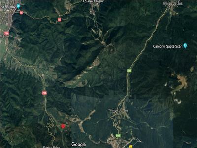 Special: 3 hectare de teren pitoresc, in apropierea Cabanei Trei Brazi
